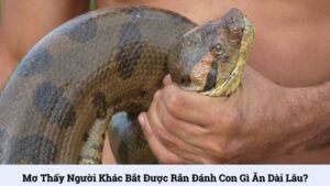Mơ thấy người khác bắt được rắn đánh con gì ăn dài lâu