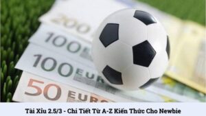 Tài xỉu 2.5/3 - Chi tiết từ A-Z kiến thức cho newbie