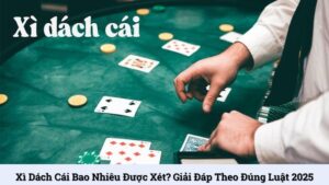Xì dách cái bao nhiêu được xét? Giải đáp theo đúng luật 2025